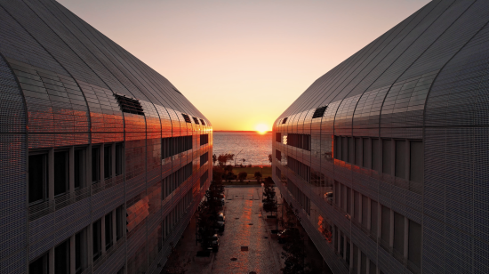 NOVA Medical School and Junqueiro district